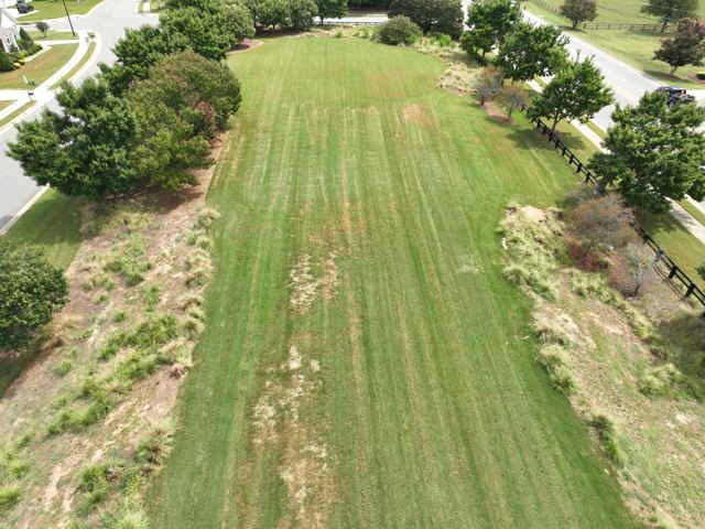 Common turf &mdash; bare and thinning areas, dated for comparison